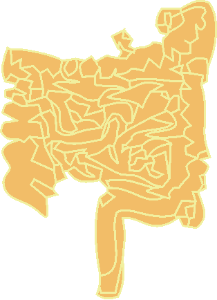 Gut
